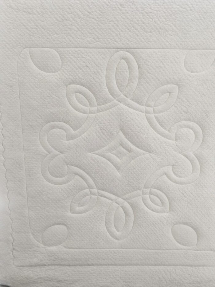 WhatsApp Image 2026-03-03 at 11.33.19 AM